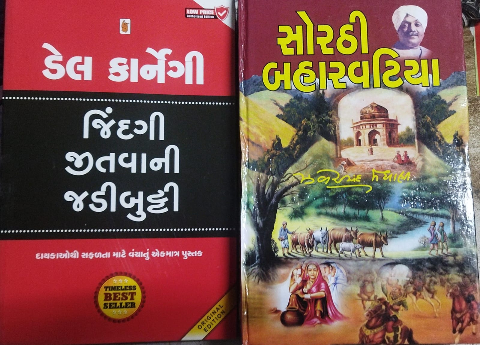 N0vel-2 - B00k Combo (jindgi Jitvani Jadibutti & S0rthi Bahrvatiyo)